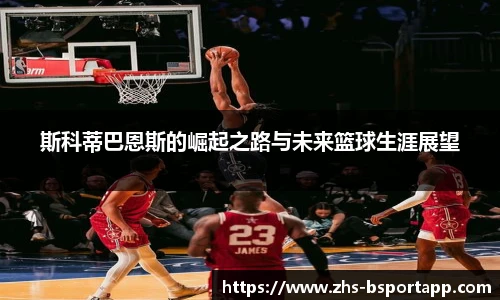 B体育