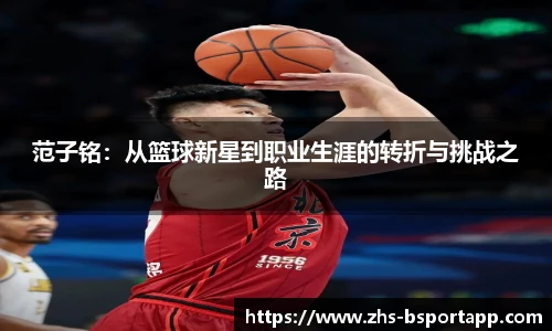 B体育官方网站