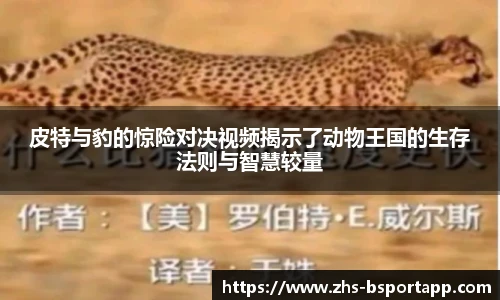 皮特与豹的惊险对决视频揭示了动物王国的生存法则与智慧较量